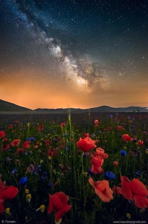 Hotel Europa نورسا المظهر الخارجي الصورة